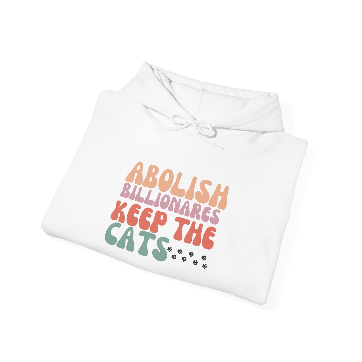 Abolish Billionares Hoodie